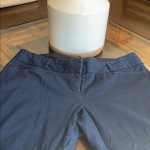 The limited collection drew fit. Blue Capri